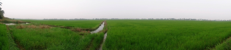 Маршрут:  Аллеппи – Коллам – Тривандрум – Агра – Дели