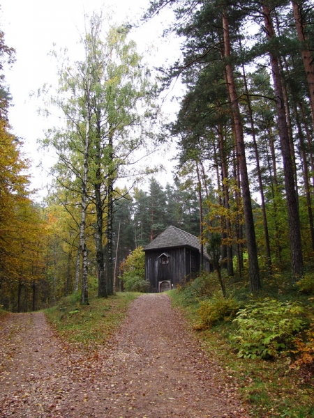 Побег в золотую осень (немного Латвии, октябрь 2013).