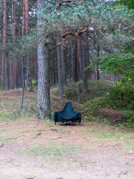 Побег в золотую осень (немного Латвии, октябрь 2013).