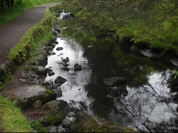 Исландия на мотоцикле за 9 дней - рассказ с пассажирского места