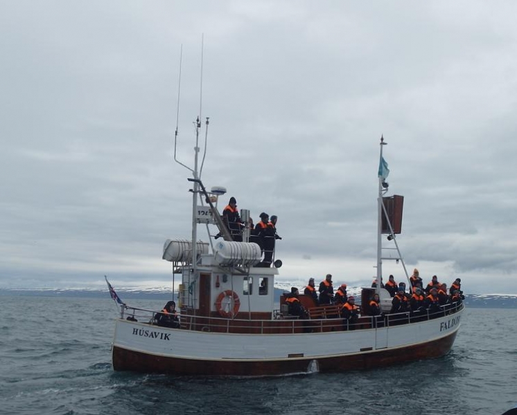 Исландия на мотоцикле за 9 дней - рассказ с пассажирского места