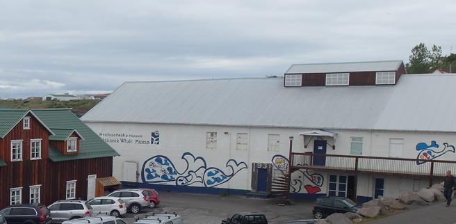 Исландия на мотоцикле за 9 дней - рассказ с пассажирского места