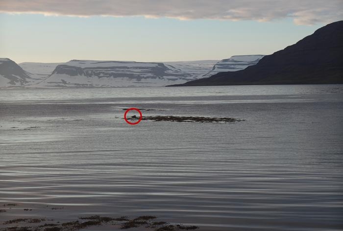 Исландия на мотоцикле за 9 дней - рассказ с пассажирского места