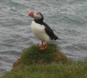 Исландия на мотоцикле за 9 дней - рассказ с пассажирского места