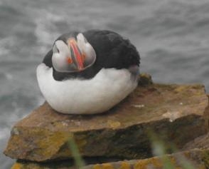 Исландия на мотоцикле за 9 дней - рассказ с пассажирского места