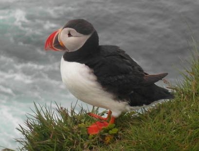 Исландия на мотоцикле за 9 дней - рассказ с пассажирского места