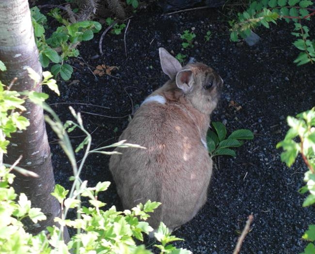Исландия на мотоцикле за 9 дней - рассказ с пассажирского места