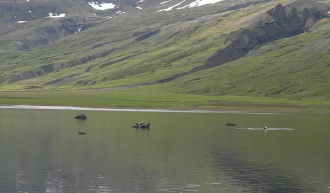 Исландия на мотоцикле за 9 дней - рассказ с пассажирского места