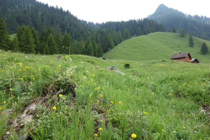 Земля Форарльберг (Bundesland Vorarlberg)