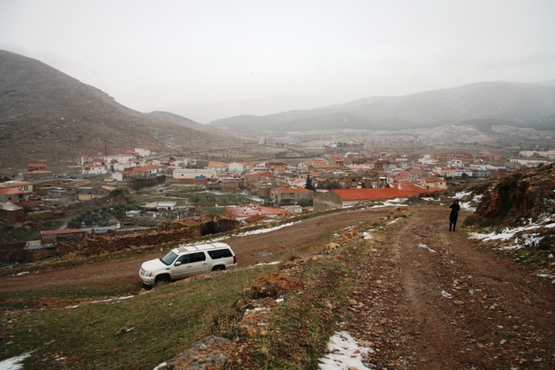 Калахора 2010