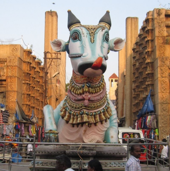 Индия (юг: Керала, Тамил наду)