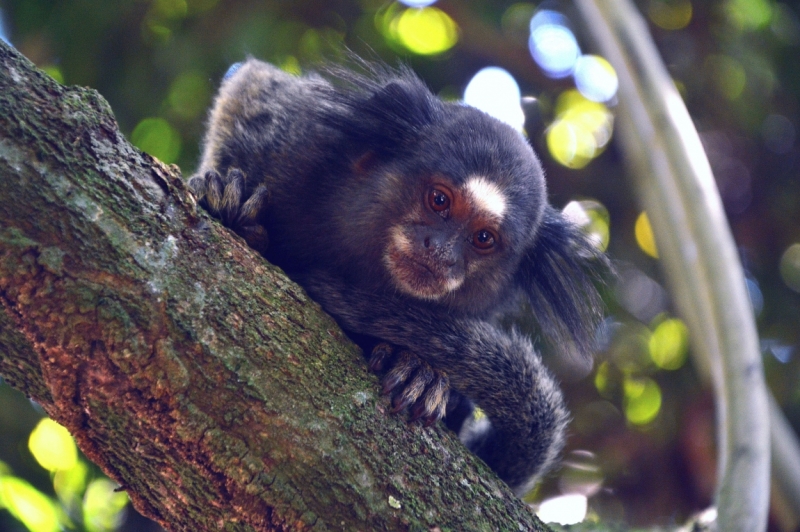 Остров Илья Гранде в декабре 2014