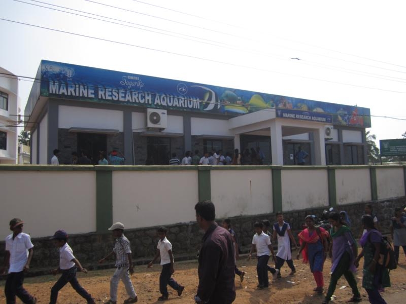 Индия (юг: Керала, Тамил наду)