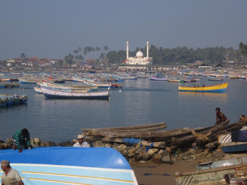 Индия (юг: Керала, Тамил наду)