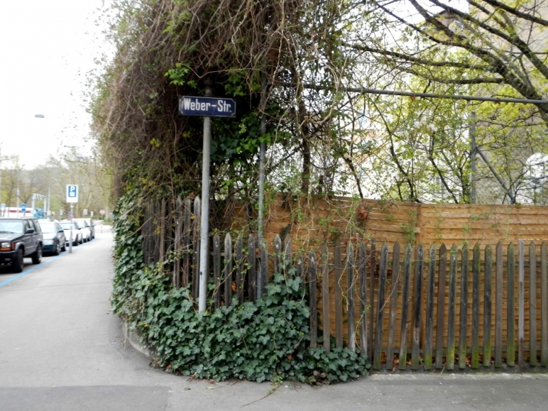 Неинформативный Цюрих.