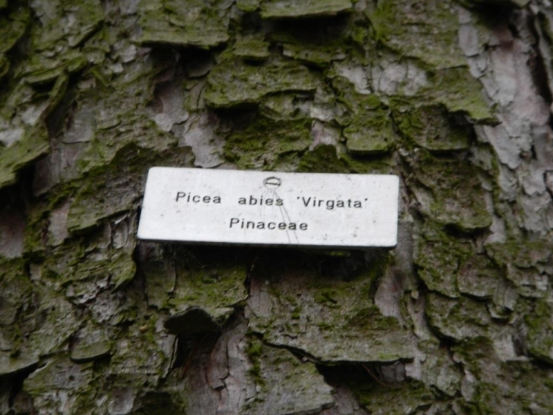 Неинформативный Цюрих.