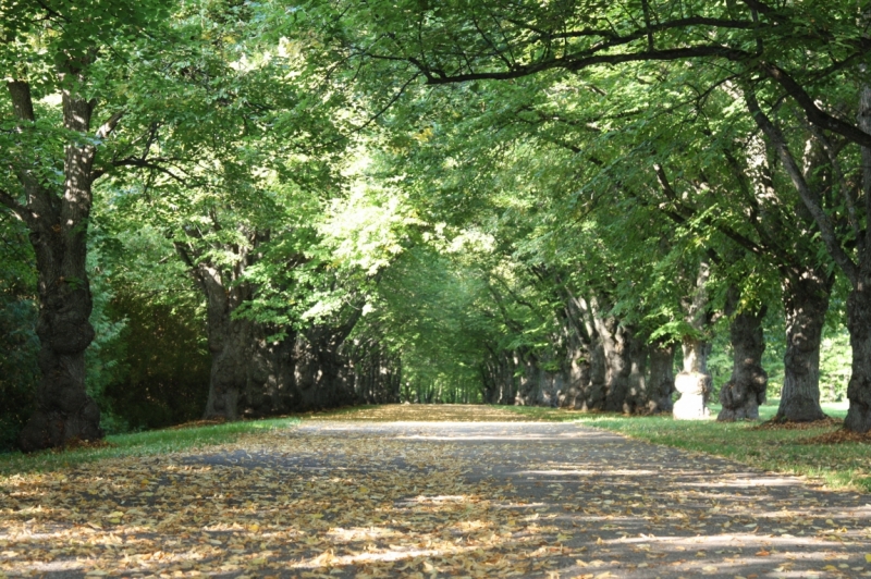 По о.Saaremaa и о.Hiiumaa (сентябрь, 2014). По о.Saaremaa и о.Hiiumaa (сентябрь, 2014).