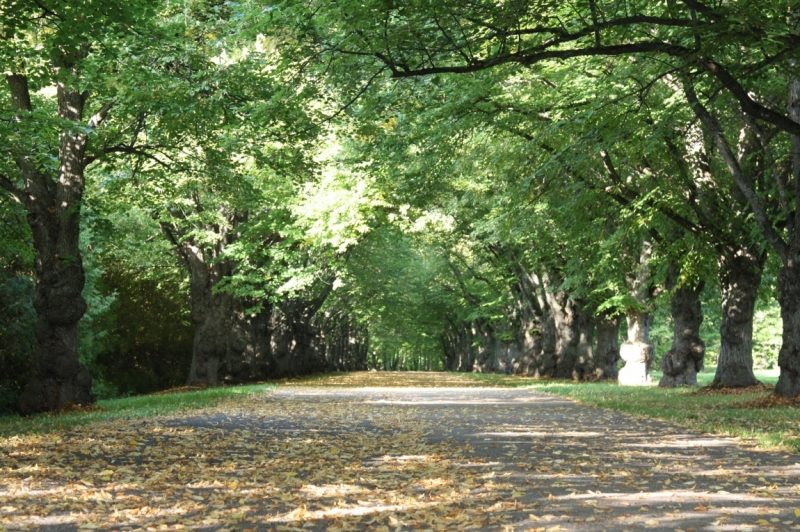 По о.Saaremaa и о.Hiiumaa (сентябрь, 2014).