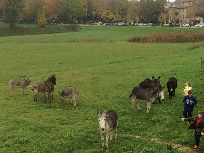 Русско-швейцарская солянка: 430 человек в круизе Costa Serena, ноябрь 2014