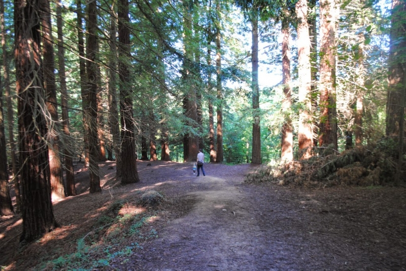 Испания-Португалия-Чехия 2014, или большое путешествие с маленьким ребенком