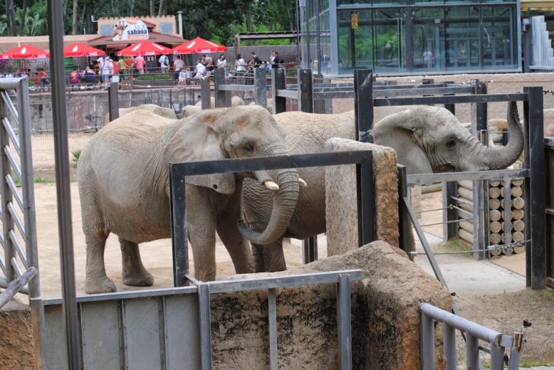 Испания-Португалия-Чехия 2014, или большое путешествие с маленьким ребенком