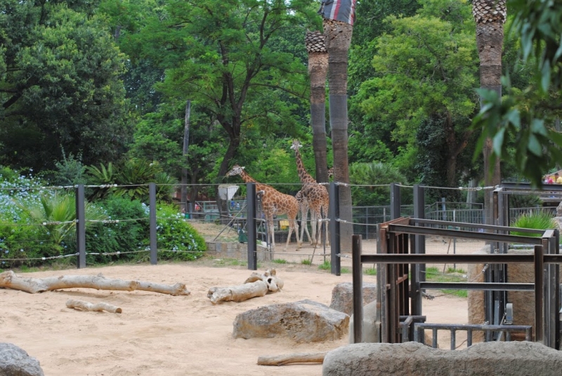 Испания-Португалия-Чехия 2014, или большое путешествие с маленьким ребенком