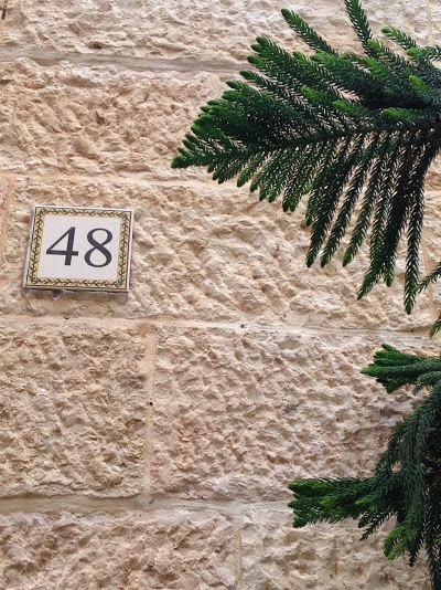 3 недели в Израиле в октябре-ноябре 2014г.