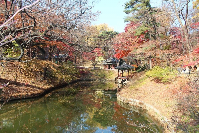 CHANGDEOKGUNG palace