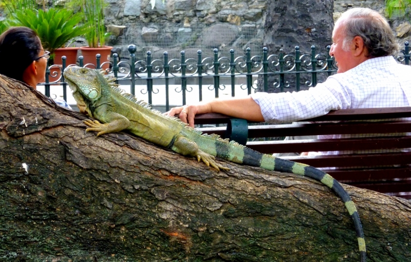 Как я купил мотоцикл в Бриджпорте, и проехал на нём по Америке.