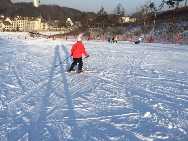 Из Таиланда в Ю.Корею. Хотели снега! Горнолыжные курорты Alpensia,Yongpyeong