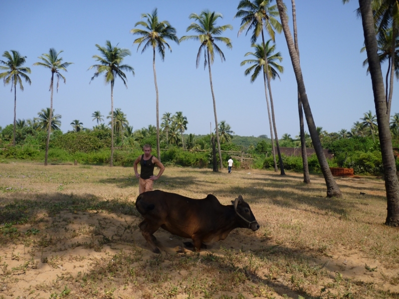 Ёжик in туман