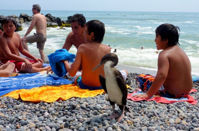 Как я купил мотоцикл в Бриджпорте, и проехал на нём по Америке.