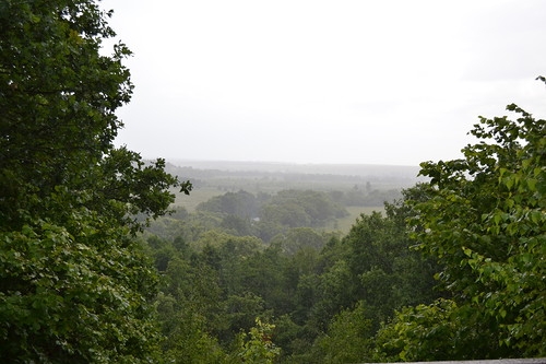 Один день в Калужской области - июль 2014