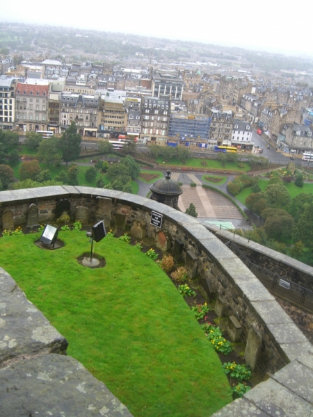 Кладбища домашних животных.