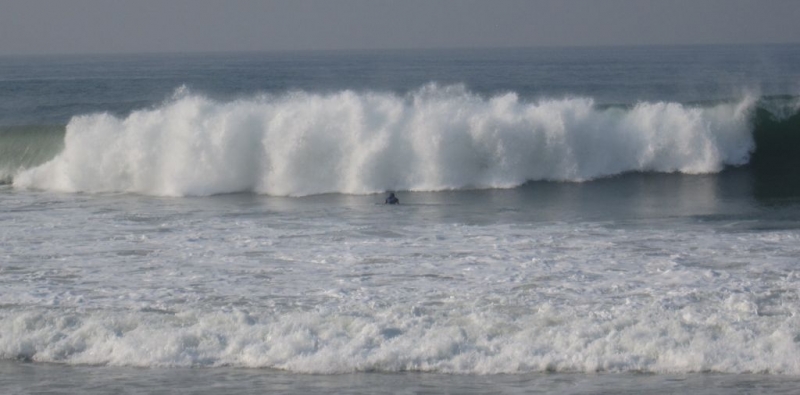 Индия (юг: Керала, Тамил наду)