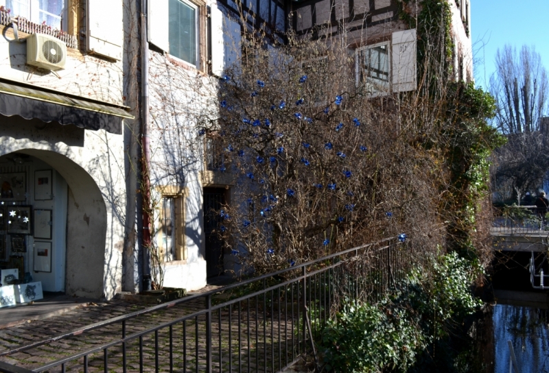 Новогодняя сказка 2015. Эльзас от Страсбурга до Мюлуза.Национальный музей автомобилей