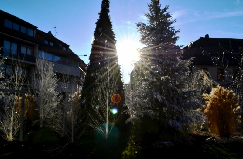 Новогодняя сказка 2015. Эльзас от Страсбурга до Мюлуза.Национальный музей автомобилей