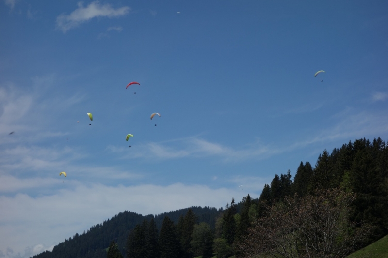 Земля Форарльберг (Bundesland Vorarlberg)