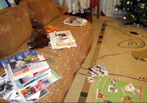 Поговорим о кошках31