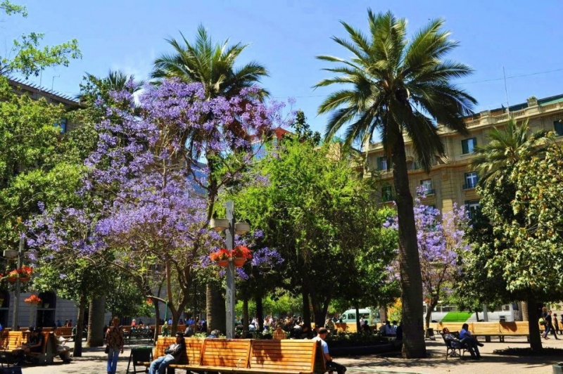 Как я купил мотоцикл в Бриджпорте, и проехал на нём по Америке.