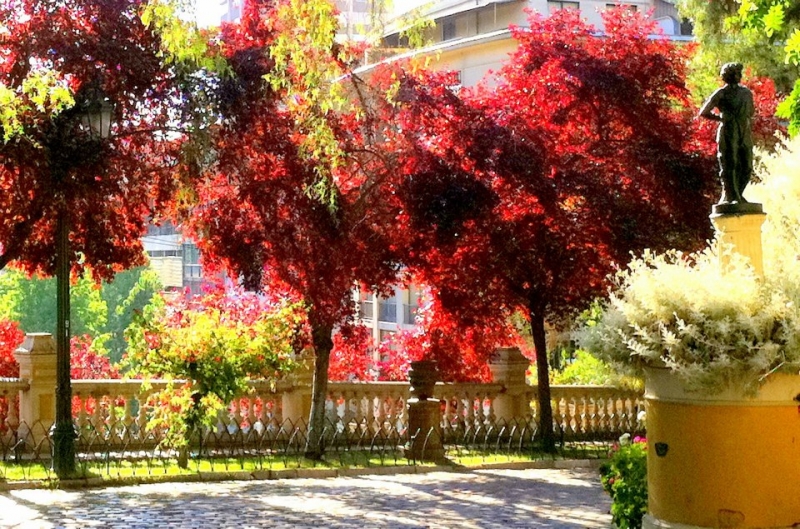 Как я купил мотоцикл в Бриджпорте, и проехал на нём по Америке.