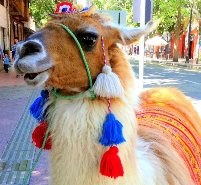 Как я купил мотоцикл в Бриджпорте, и проехал на нём по Америке.