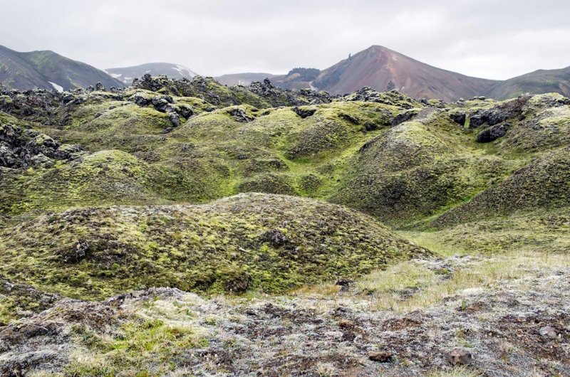 Colours of Iceland (июль 2014)