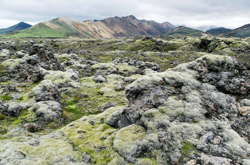 Colours of Iceland (июль 2014)