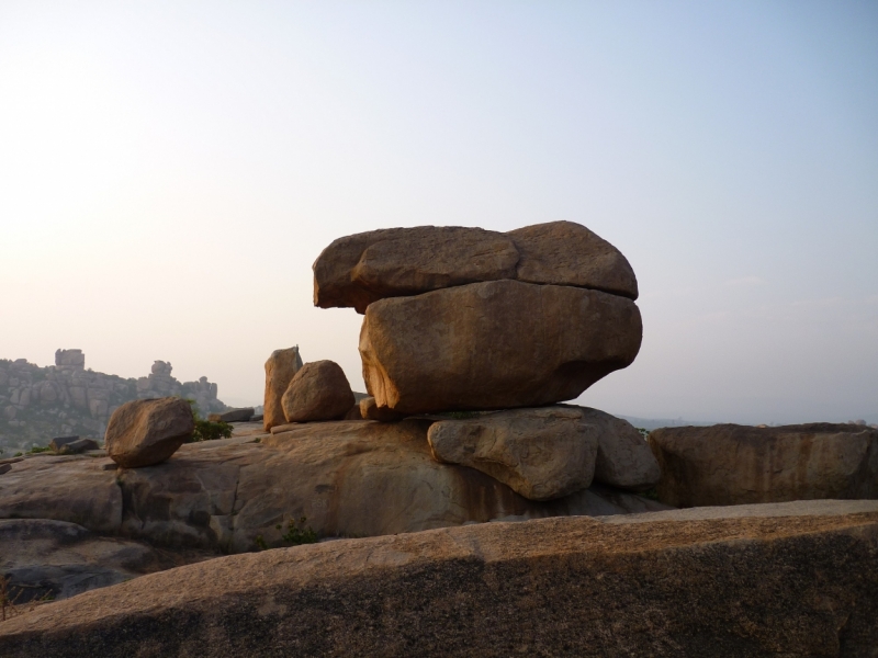 Ёжик in туман