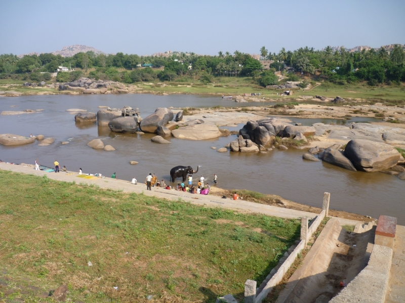 Ёжик in туман