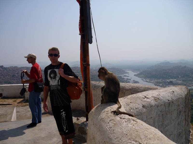 Ёжик in туман