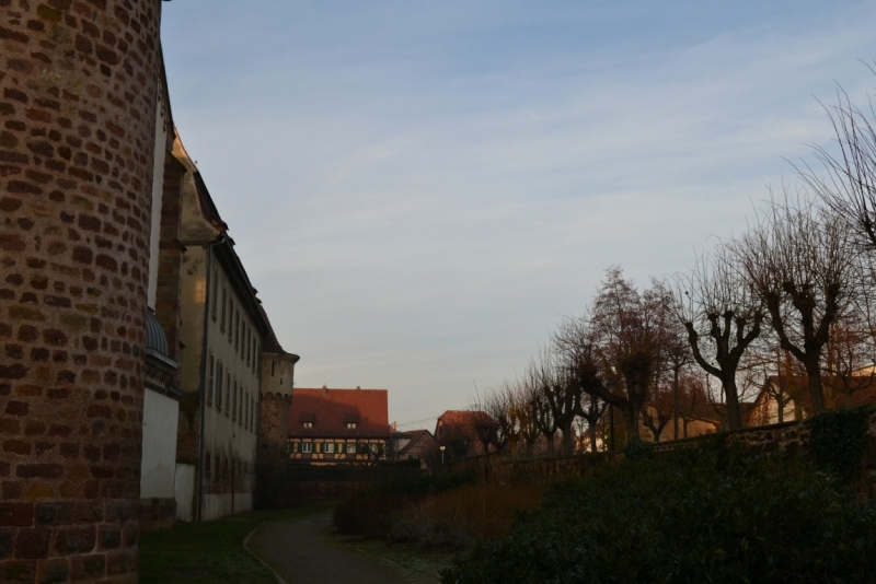 Новогодняя сказка 2015. Эльзас от Страсбурга до Мюлуза.Национальный музей автомобилей