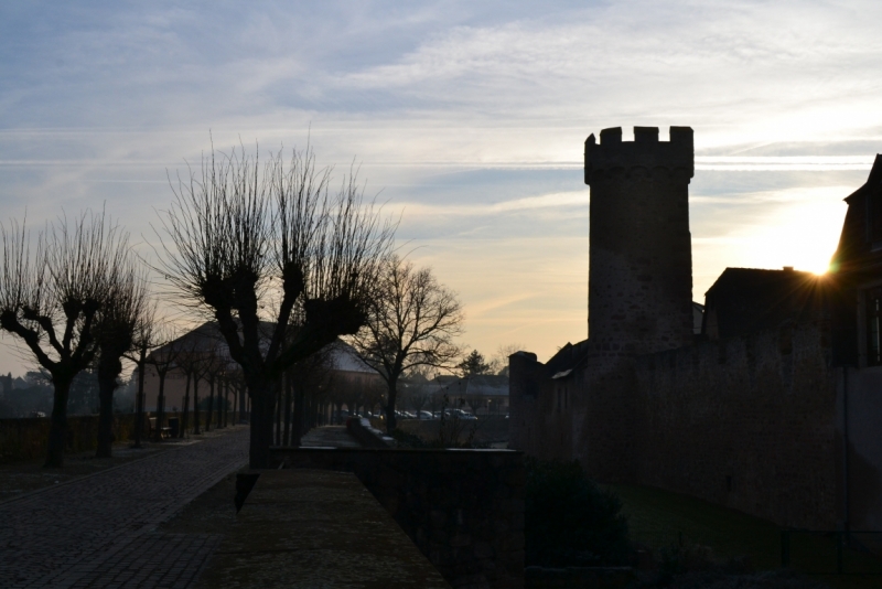 Новогодняя сказка 2015. Эльзас от Страсбурга до Мюлуза.Национальный музей автомобилей