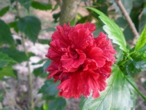 Удивительный Таиланд. Первая поездка. Много Фото 18.03.2011